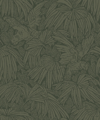 Image de Hidden Parrot - 2277