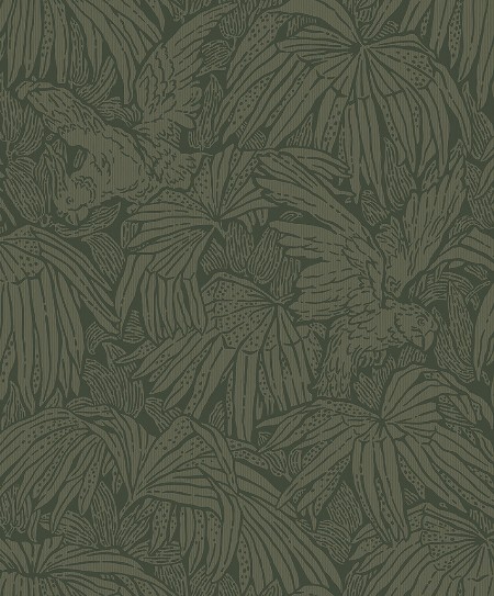 Image de Hidden Parrot - 2277