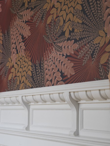 Image de Velvet Leaves - 2259