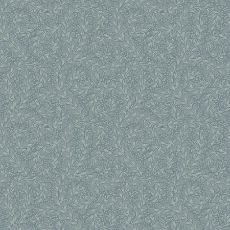 Image de Wild Ferns - 2254