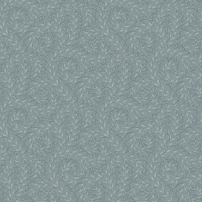 Image de Wild Ferns - 2254