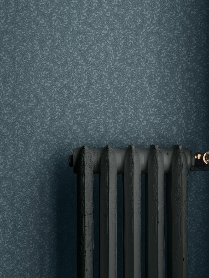 Image de Wild Ferns - 2254