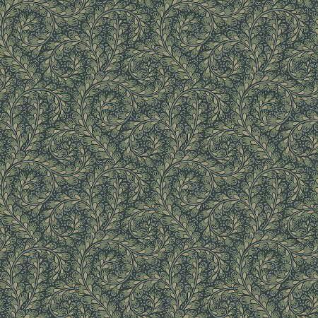 Image de Wild Ferns - 2258