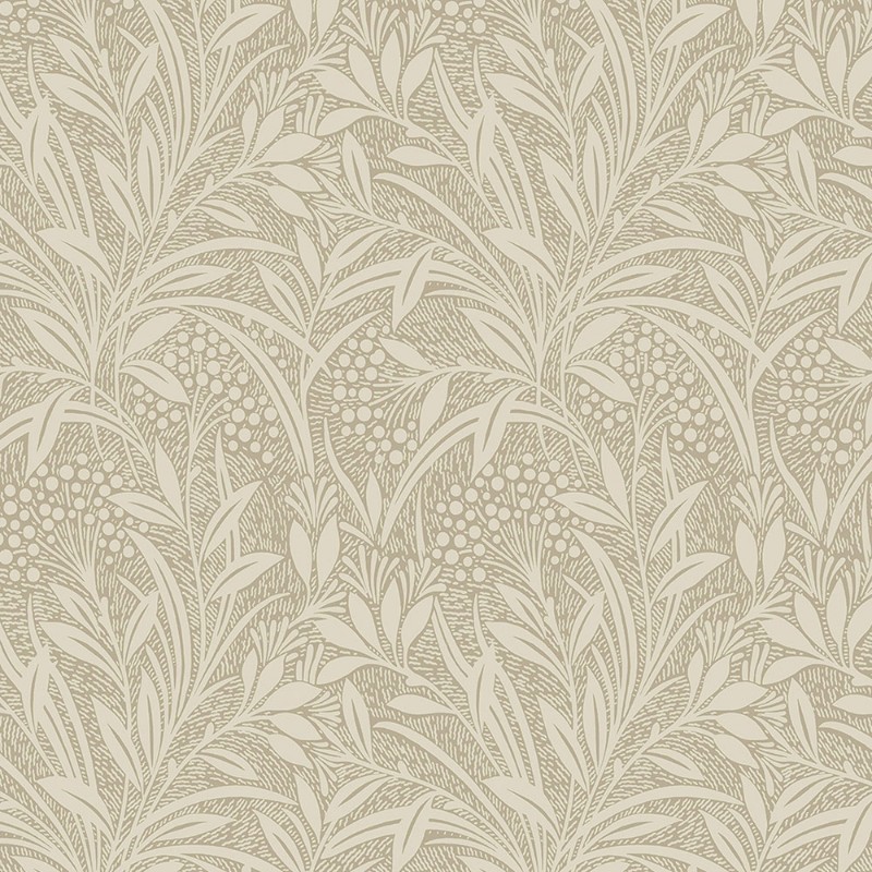 Picture of Barley - 113340