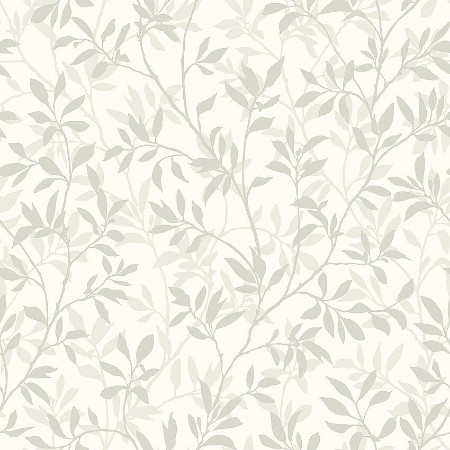 Bild von Borosan 21 - 8601