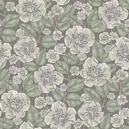 Picture of Borosan 21 - 8618