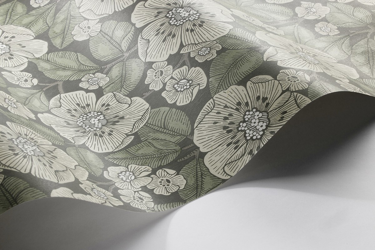 Picture of Borosan 21 - 8618