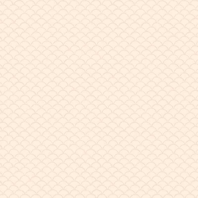 Image de Borosan 21 - 8623