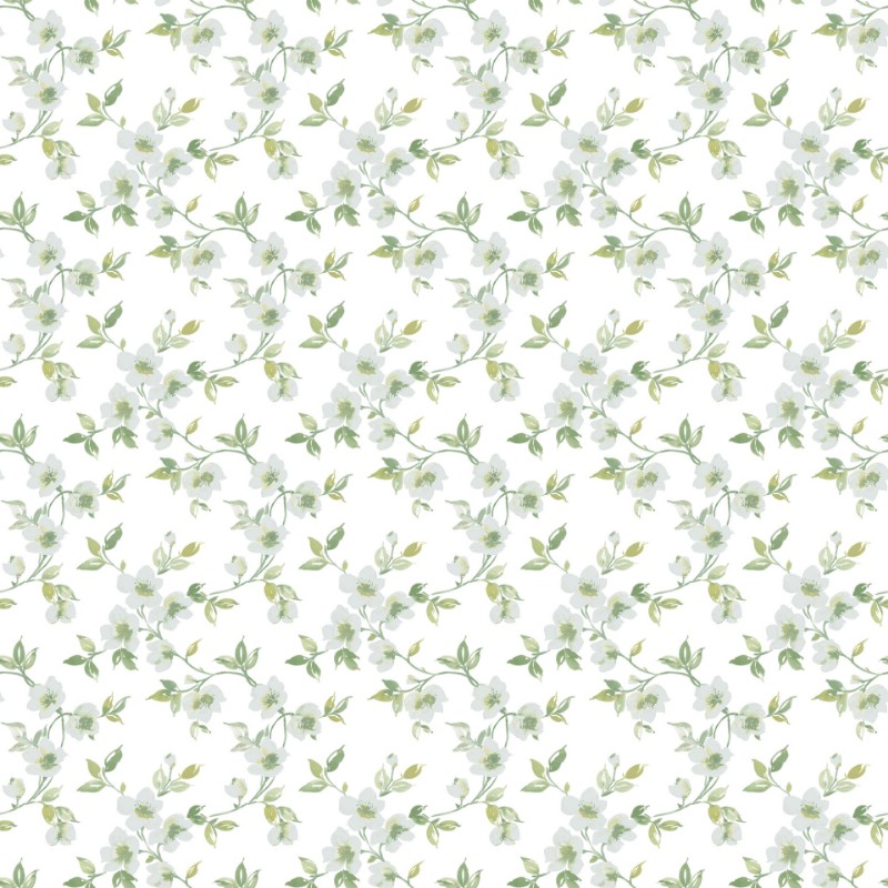 Image de English Garden - G78483