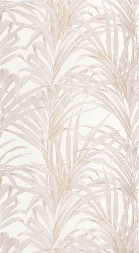 Image de 1930 Fougeres Beige - MNCT28921108