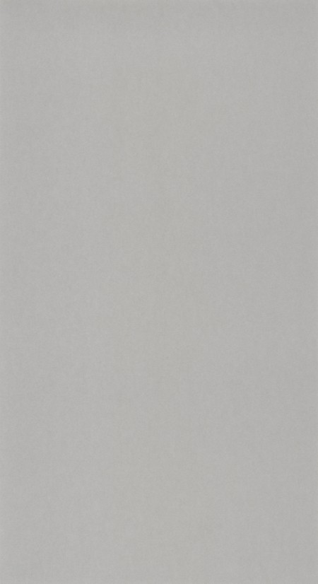 Image de 1930 Uni Gris - MNCT13219424