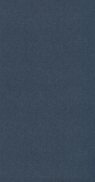 Picture of Belle Epoque Casino Bleu - BEEP82286443