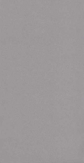 Afbeeldingen van Belle Epoque Casino Gris - BEEP82289236