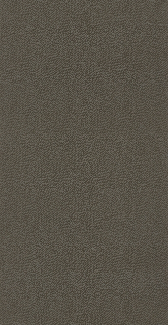 Afbeeldingen van Belle Epoque Casino Marron - BEEP82282527