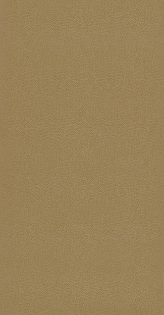 Afbeeldingen van Belle Epoque Casino Orange - BEEP82282442