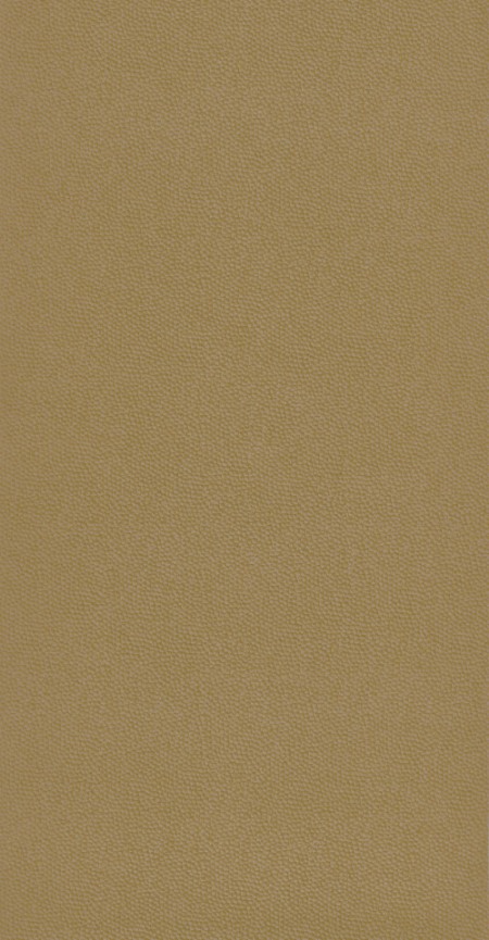 Picture of Belle Epoque Casino Orange - BEEP82282442