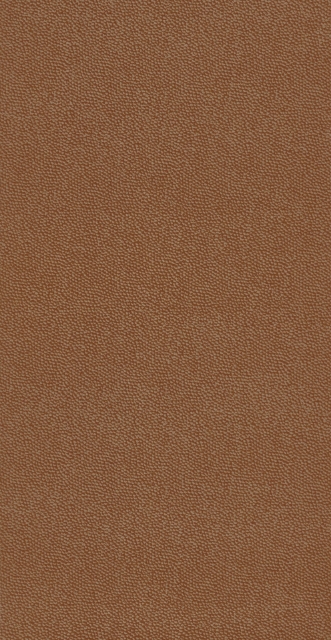 Afbeeldingen van Belle Epoque Casino Orange - BEEP82283320