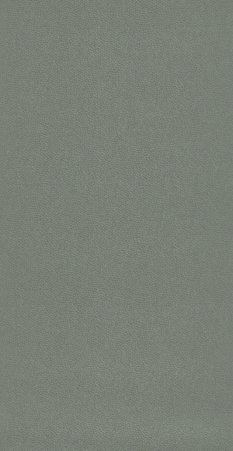 Afbeeldingen van Belle Epoque Casino Vert - BEEP82287311