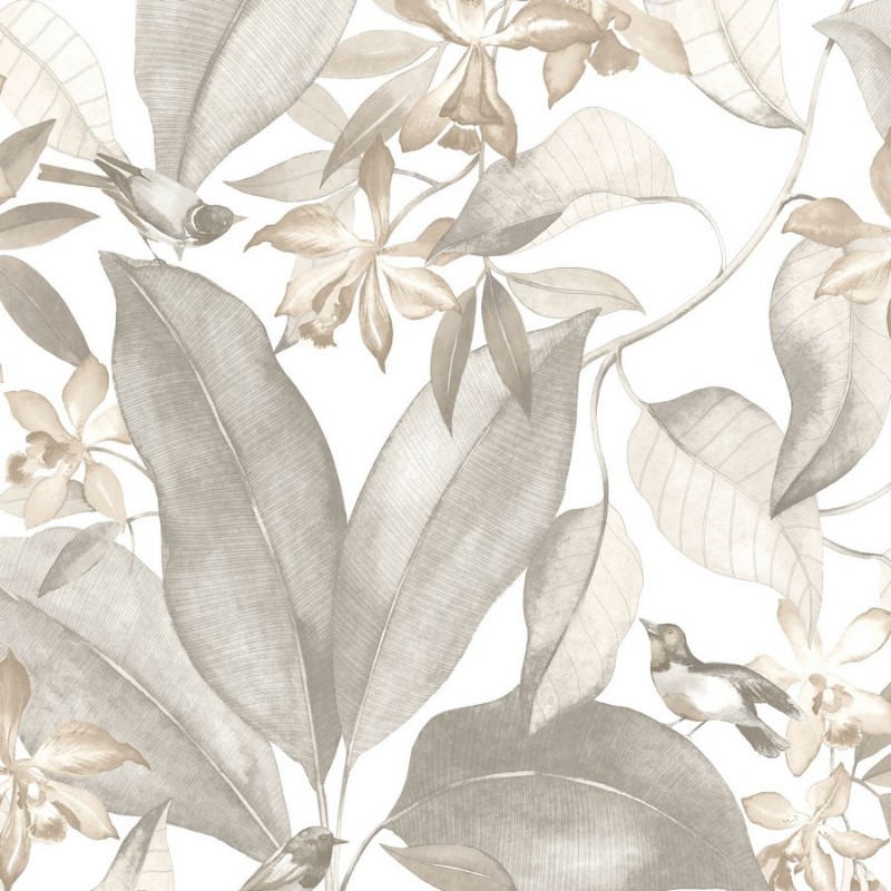 Image de So White 4 Birdsong Taupe / Gris - SWHT85389242