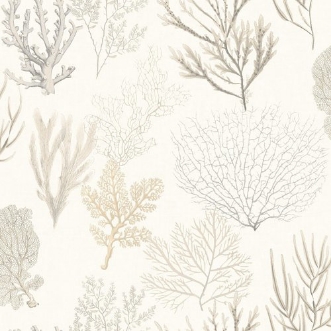 Picture of So White 4 Corail Beige - SWHT83971120