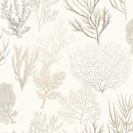 Picture of So White 4 Corail Beige - SWHT83971120