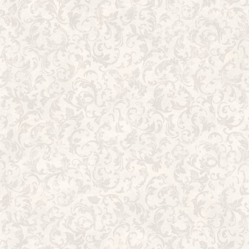 Picture of So White 4 Dorsoduro Gris/Blanc - SWHT83570115