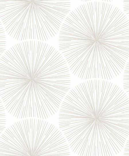 Picture of So White 4 Eclat Teupe / Blanc - SWHT82040124