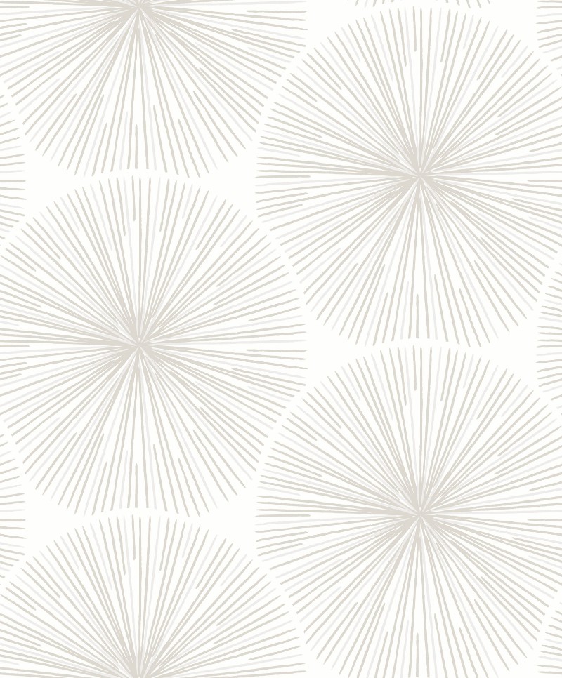 Picture of So White 4 Eclat Teupe / Blanc - SWHT82040124