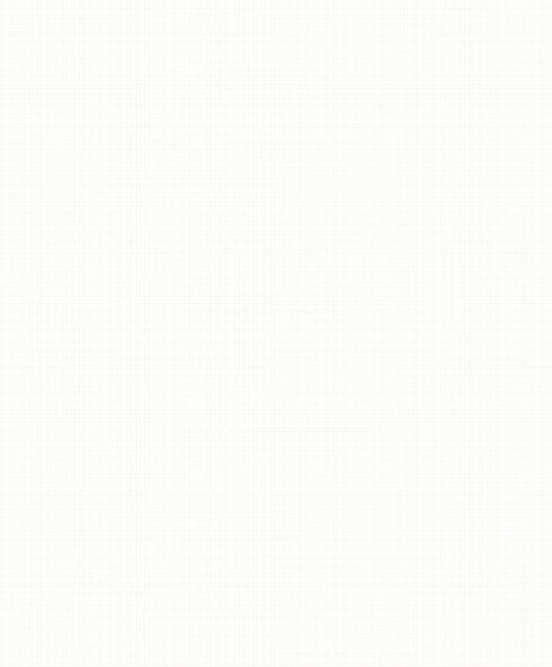 Picture of So White 4 Segment Blanc - SWHT83740101