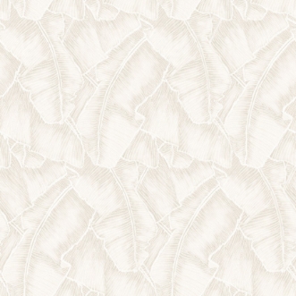 Picture of So White 4 Selva Blanc - SWHT84320030