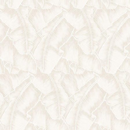 Image de So White 4 Selva Blanc - SWHT84320030