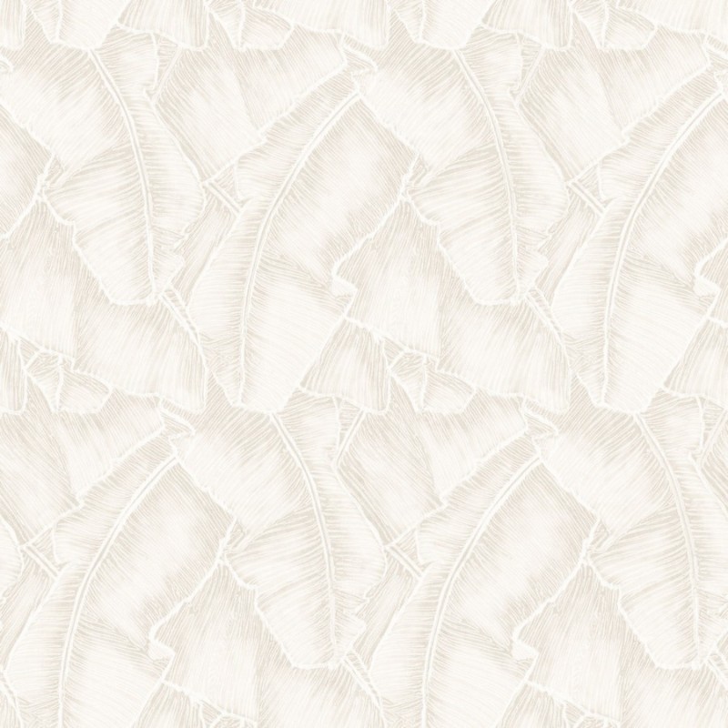 Image de So White 4 Selva Blanc - SWHT84320030