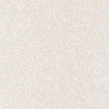 Image de So White 4 SPRING Blanc/Beige - SWHT83771122
