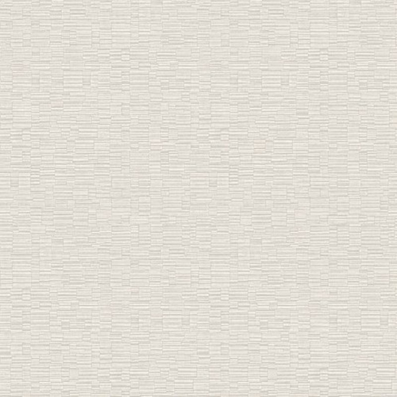Afbeeldingen van So White 4 Wild Gris / Blanc - SWHT85379134
