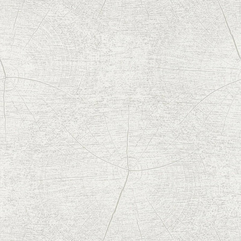 Picture of So White 4 Winter Blanc - SWHT83760101