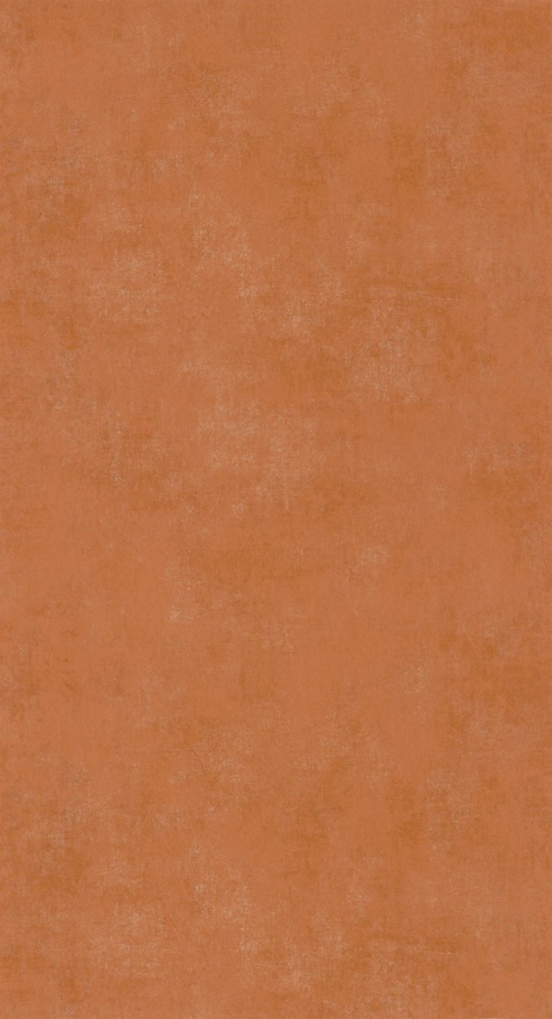 Image de Stone Cannielle - STNE80833232