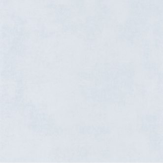 Image de Stone Givre - STNE80839119