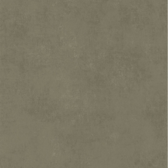 Picture of Stone Lichen - STNE80837434