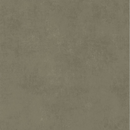 Bild von Stone Lichen - STNE80837434