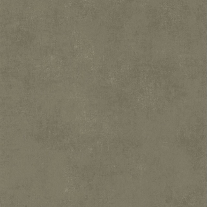 Bild på Stone Lichen - STNE80837434