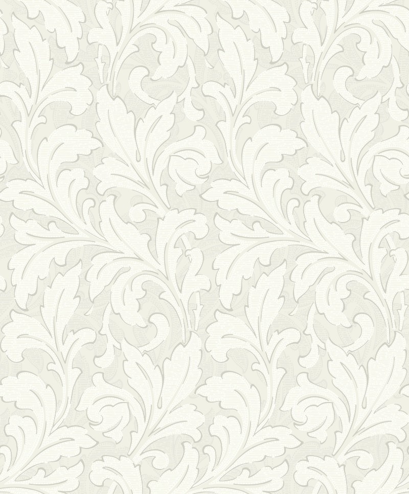 Image de Acanthe Grege - ARCR86361404