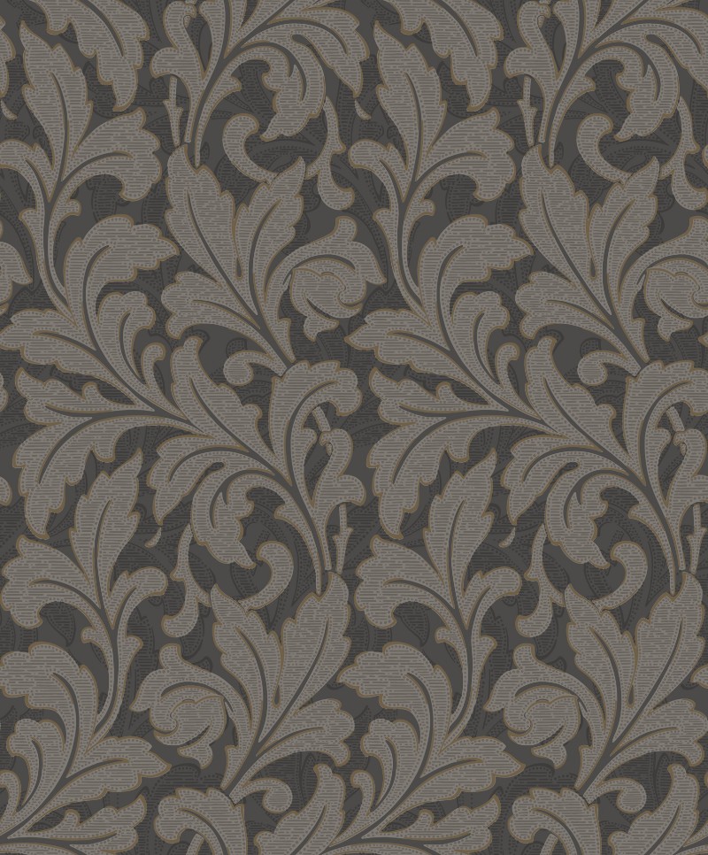 Picture of Acanthe Noir - ARCR86369515