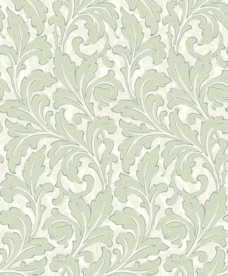 Image de Acanthe Vert Amande - ARCR86367114