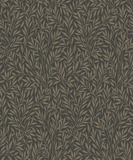 Image de Willow Noir - ARCR86359501