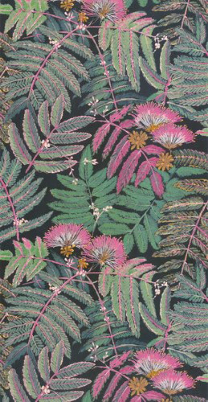 Image de Botanica Albizia Rose/Vert Foret - BOTA85897490