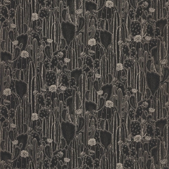 Image de Botanica Cactaceae Noir - BOTA85929512