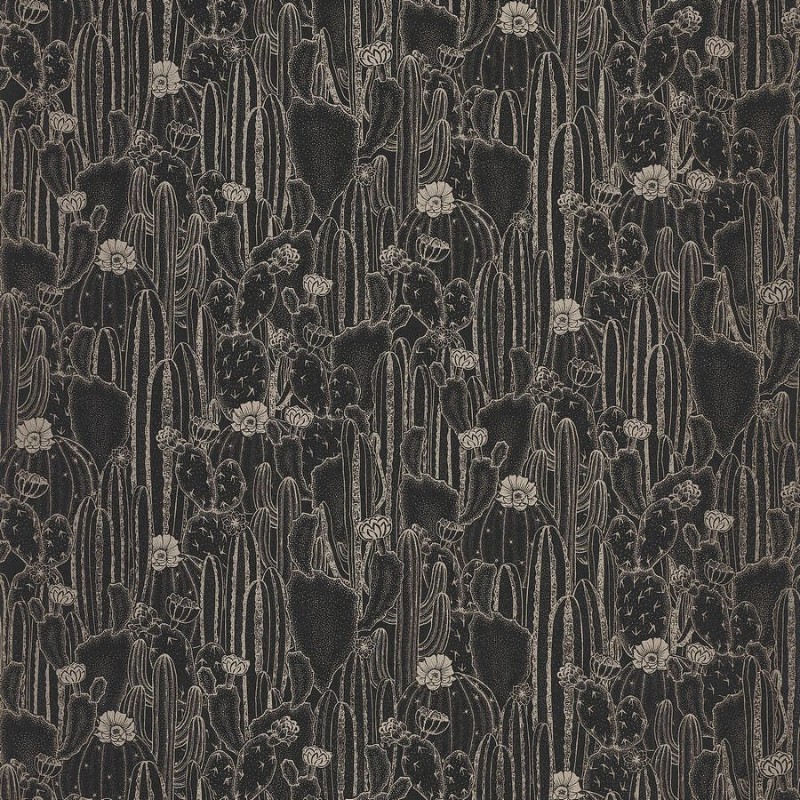 Image de Botanica Cactaceae Noir - BOTA85929512