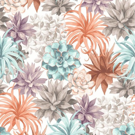 Picture of Botanica Echeveria Corail/Rose Poudre - BOTA85914374