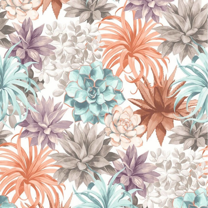 Picture of Botanica Echeveria Corail/Rose Poudre - BOTA85914374