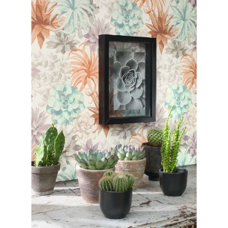 Picture of Botanica Echeveria Corail/Rose Poudre - BOTA85914374